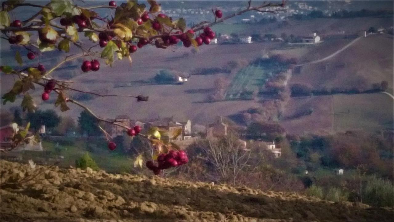 Barbagianni Villa Сенигалия Екстериор снимка