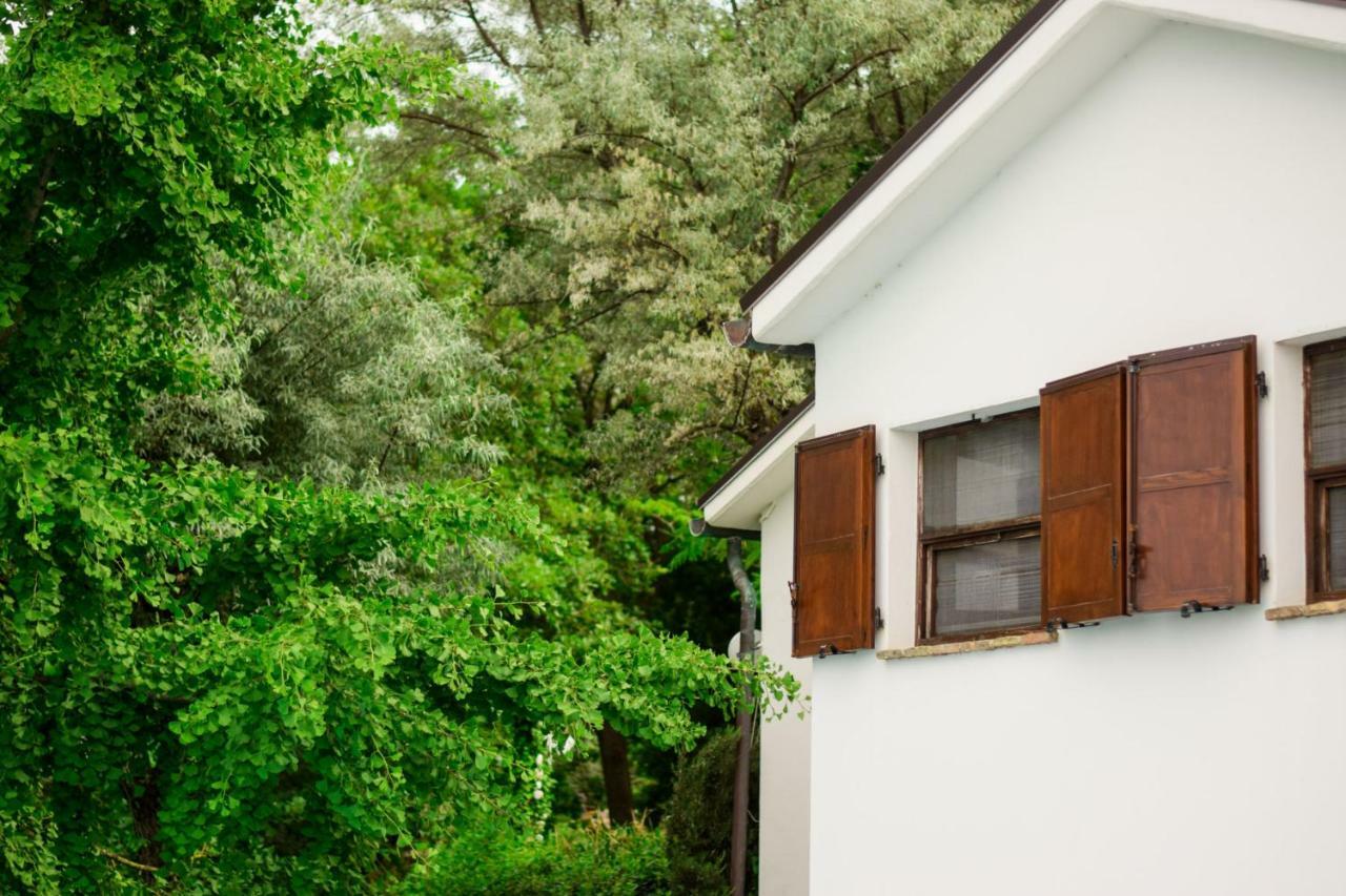 Barbagianni Villa Сенигалия Екстериор снимка